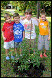 vbs